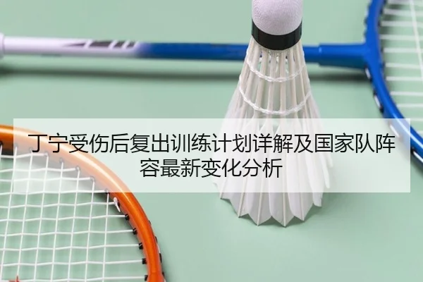 丁宁受伤后复出训练计划详解及国家队阵容最新变化分析